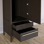 Узкий Шкаф Primo с 2 выдвижными ящиками Темный орех варинант исполнения - 5 | Loft Concept в Орле