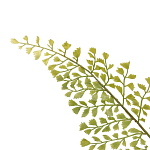 Декоративный искусственное растение Dried flower варинант исполнения - 3 | Loft Concept в Орле