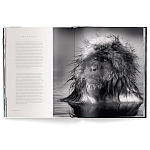 Книга Beusker. Look into my Eyes варинант исполнения - 3 | Loft Concept в Орле