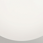 Потолочный светильник с белым матовым шарообразным плафоном Hinkley варинант исполнения - 3 | Loft Concept в Орле