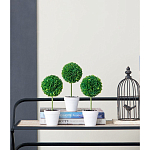 Декоративный искусственное растение Boxwood One варинант исполнения - 9 | Loft Concept в Орле