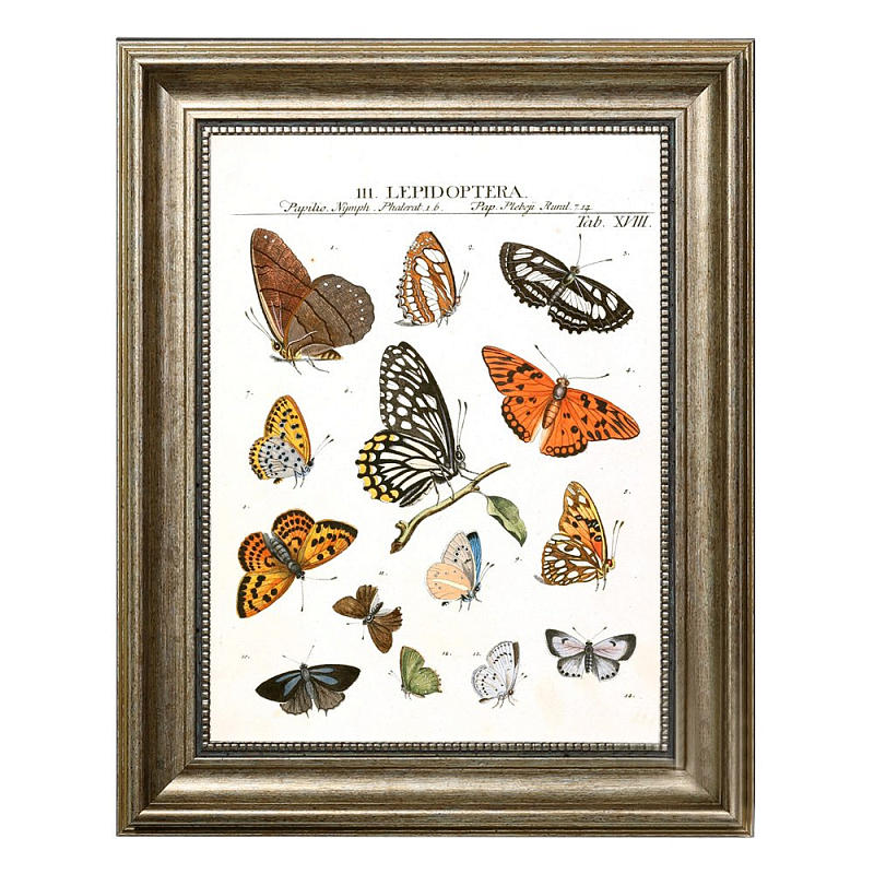 Постер Little Butterflies Постер Little Butterflies в Орле | Loft Concept