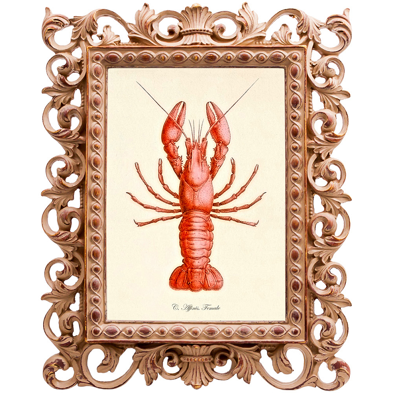 Постер Red Lobster Бежевый Красный Постер Red Lobster Бежевый Красный в Орле | Loft Concept