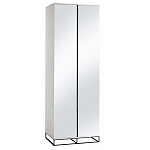 Двухдверный шкаф с зеркальными дверцами Strict Lines варинант исполнения - 5 | Loft Concept в Орле