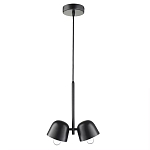 Подвесной светильник черный с 2-мя плафонами Pendant lamp Black варинант исполнения - 1 | Loft Concept в Орле