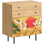 Комод с принтом на ящиках Elise Chest of Drawers варинант исполнения - 4 | Loft Concept в Орле