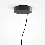 Подвесной светильник Rare grapes варинант исполнения - 4 | Loft Concept в Орле