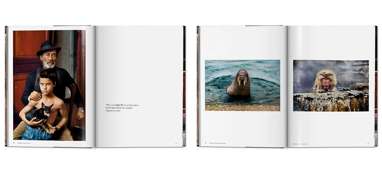Steve McCurry. Animals Steve McCurry. Animals - Loft-Concept в Орле
