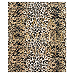 Редкое коллекционное издание Casa Cavalli Home: Celebrating the Roberto Cavalli Lifestyle Леопард варинант исполнения - 1 | Loft Concept в Орле