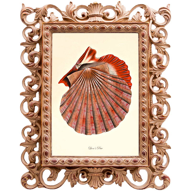 Постер Scarlet Scallop Бежевый Красный Постер Scarlet Scallop Бежевый Красный в Орле | Loft Concept