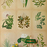 Обои ручная роспись Botanical Studies Linnaeus colourway варинант исполнения - 3 | Loft Concept в Орле