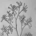 Панно Лесной цветок варинант исполнения - 4 | Loft Concept в Орле