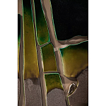 Панно «Амазония» варинант исполнения - 3 | Loft Concept в Орле