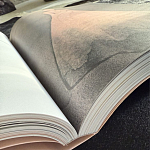 Лимитированное издание Иллюстрации модного дома Book: Dior par Mats Gustafson Vol. II Maria Grazia Chiuri варинант исполнения - 3 | Loft Concept в Орле