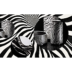 Редкое коллекционное издание Casa Cavalli Home: Celebrating the Roberto Cavalli Lifestyle Зебра варинант исполнения - 4 | Loft Concept в Орле