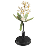 Статуэтка Wonderboom варинант исполнения - 2 | Loft Concept в Орле