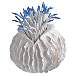 Статуэтка тропический фрукт Tropical Fruit White Blue варинант исполнения - 2 | Loft Concept в Орле