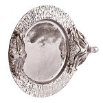 Поднос Mirror Surface Nickel варинант исполнения - 1 | Loft Concept в Орле