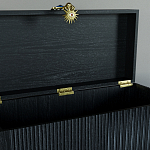 Большой дизайнерский Сундук Elsa Dreams Black варинант исполнения - 3 | Loft Concept в Орле