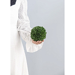 Декоративный искусственное растение Small boxwood варинант исполнения - 3 | Loft Concept в Орле