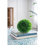 Декоративный искусственное растение Round boxwood варинант исполнения - 6 | Loft Concept в Орле