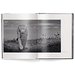 Книга Beusker. Look into my Eyes варинант исполнения - 1 | Loft Concept в Орле