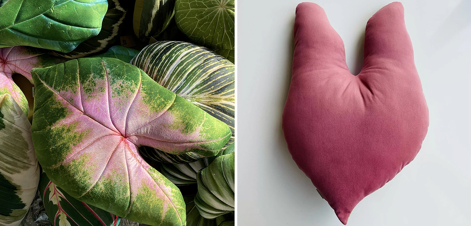 Декоративная подушка Botanical Cushion Caladium Bicolor Декоративная подушка Botanical Cushion Caladium Bicolor - Loft-Concept в Орле