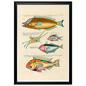 Постер в черной раме Fish Guide 9