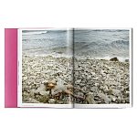 Книга Gisele Bundchen варинант исполнения - 9 | Loft Concept в Орле