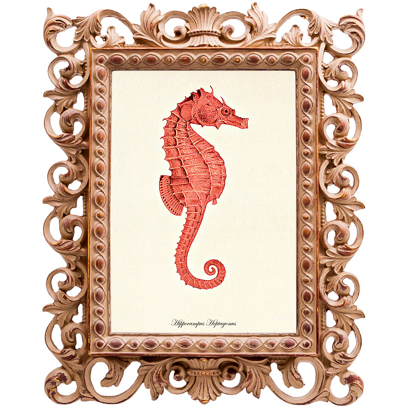 Постер Red Seahorse Poster Бежевый Красный Постер Red Seahorse Poster Бежевый Красный в Орле | Loft Concept