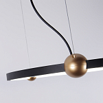 Люстра подвесная светодиодная черный металл Ring Horizontal варинант исполнения - 4 | Loft Concept в Орле