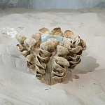 Ваза из серии «Волнение 3» варинант исполнения - 2 | Loft Concept в Орле