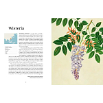 Прекрасно иллюстрированная книга более 100 ботанических произведений Plant Hunters Atlas варинант исполнения - 4 | Loft Concept в Орле