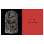 Книга Tantra: Enlightenment to Revolution варинант исполнения - 5 | Loft Concept в Орле