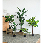 Декоративный искусственное растение Decor Stile  варинант исполнения - 8 | Loft Concept в Орле