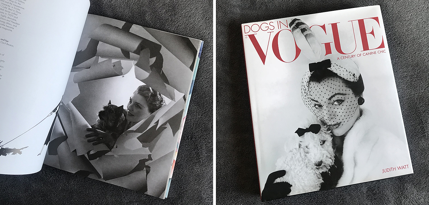 Dogs in Vogue A Century of Canine Chic Dogs in Vogue A Century of Canine Chic - Loft-Concept в Орле