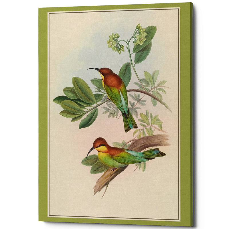 Постер на холсте с изображением птиц Blooming Birds Poster Бежевый Салатовый Мульти Постер на холсте с изображением птиц Blooming Birds Poster Бежевый Салатовый Мульти в Орле | Loft Concept