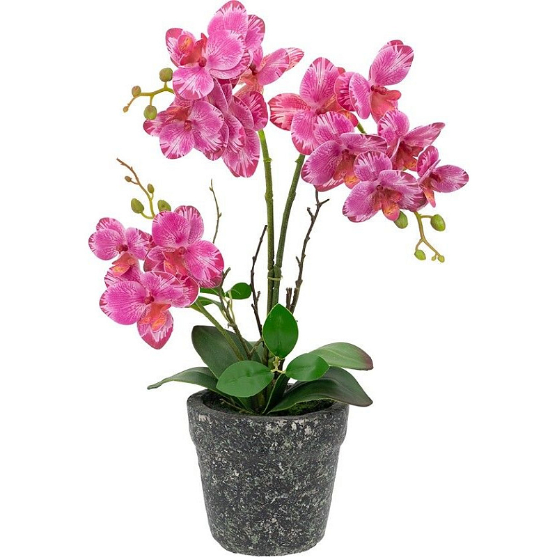 Декоративный искусственное растение Pink orchid Зеленый Черный Розовый Декоративный искусственное растение Pink orchid Зеленый Черный Розовый в Орле | Loft Concept