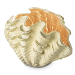 Настольная лампа Table Lamp Tridacna варинант исполнения - 2 | Loft Concept в Орле